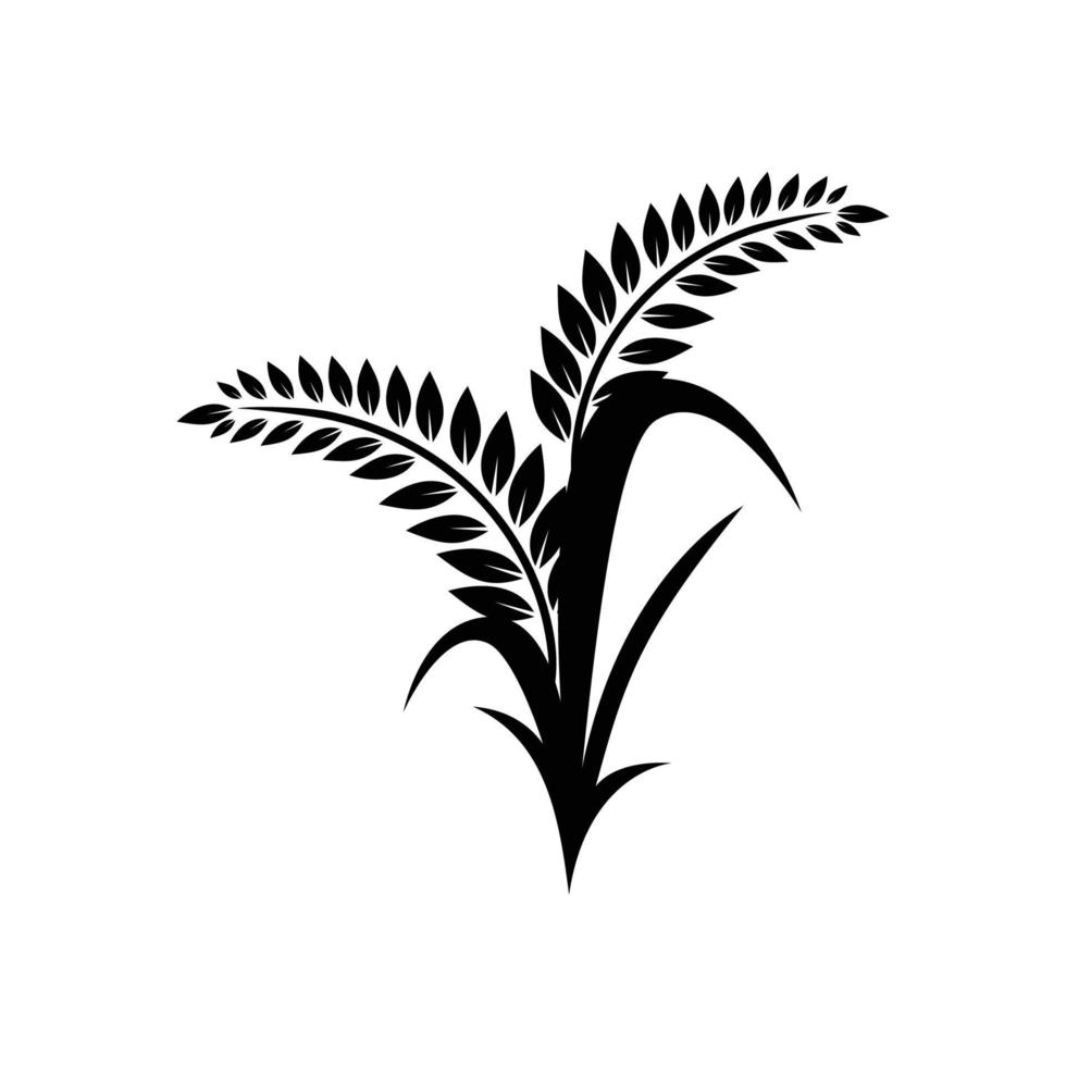 Vector silhouette illustration of ripe rice plant seedheads ready for harvesting