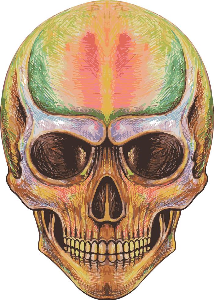 Art smile skull. Hand drawing and make graphic vector. vector