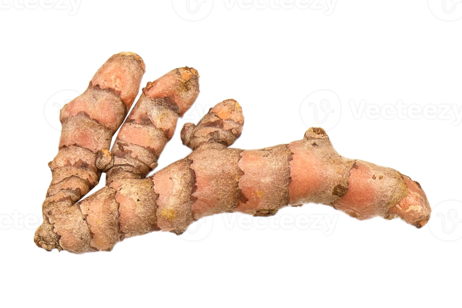 Ginger isolated on a transparent background png