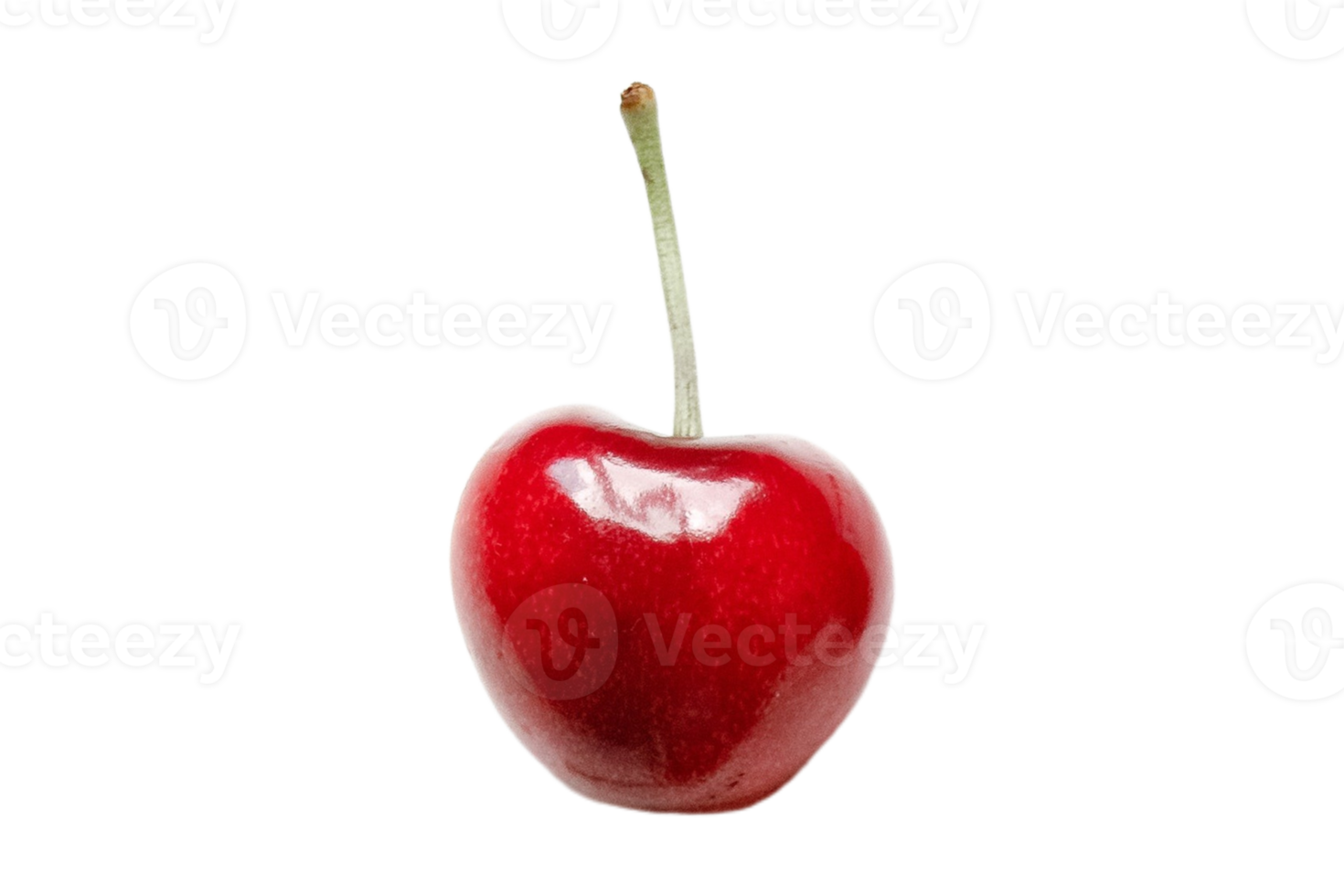 Red cherry isolated on a transparent background png