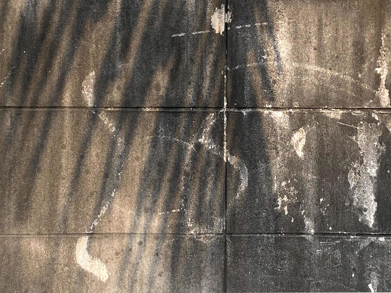 Leaves shadow background on concrete wall texture, leaves tree branches shade with sunlight photo