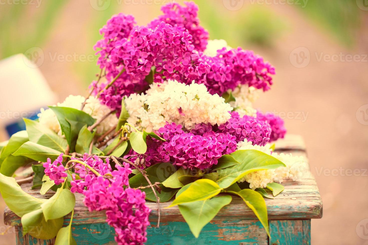 Spring or summer background. A bouquet of lilacs and yellow tulips on a wooden chair. Beautiful flowers on a green background. photo