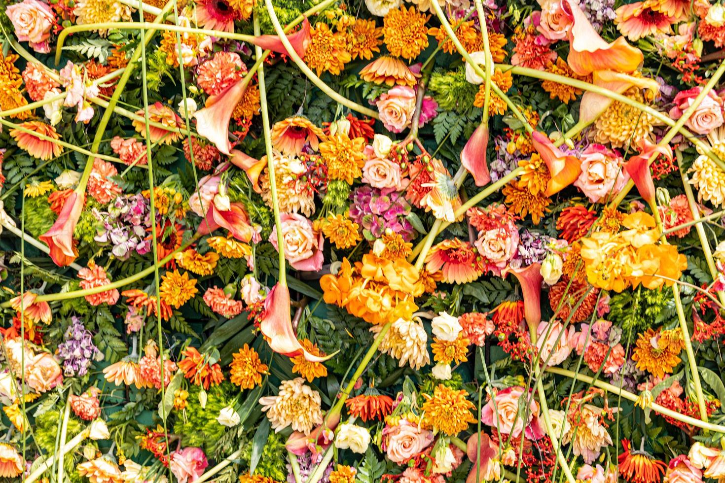 natural orange,  background with flowers close-up photo