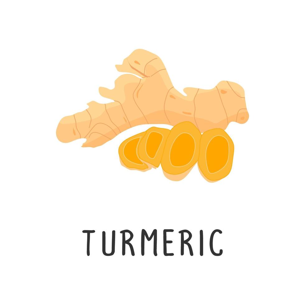 Turmeric Vector illustration, flat design cartoon of spice turmeric