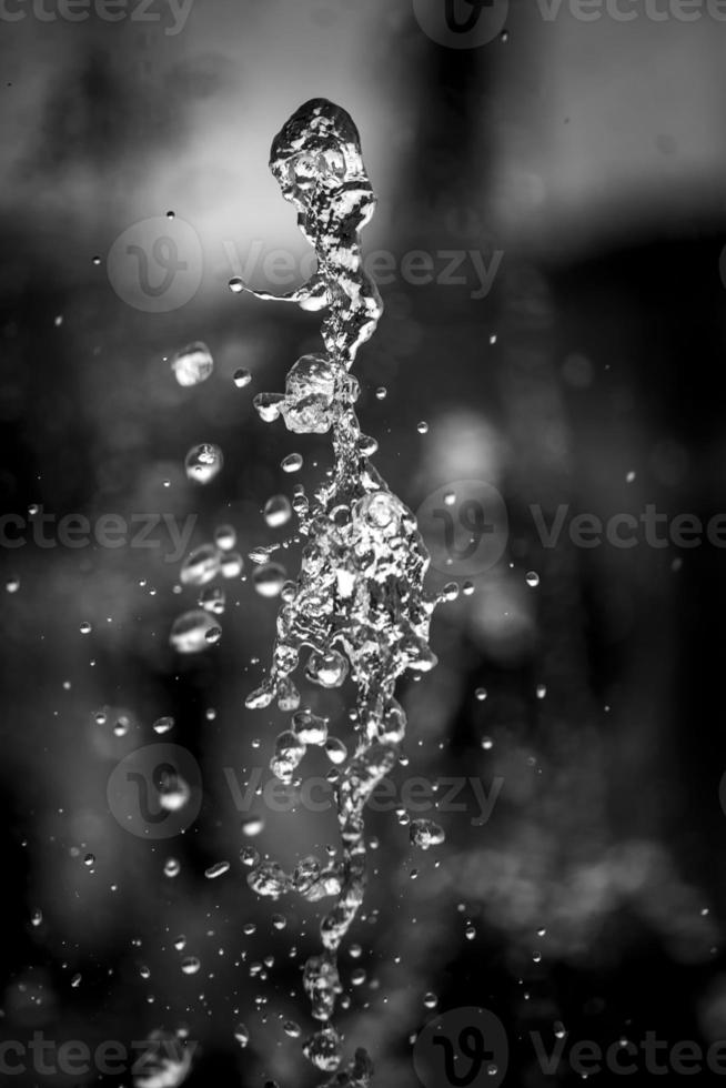 agua líquido salpicaduras en aislado negro antecedentes. foto