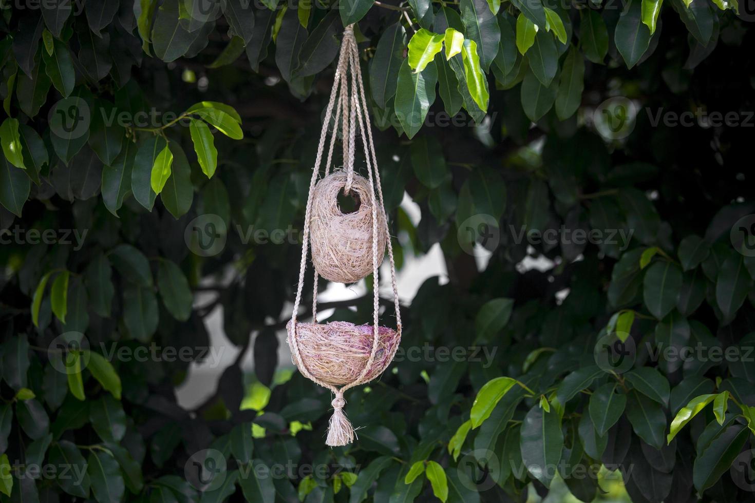 Handmade birds nest are hanging on the branches of green trees. Interior Decoration Design. Nest made of fiber. photo