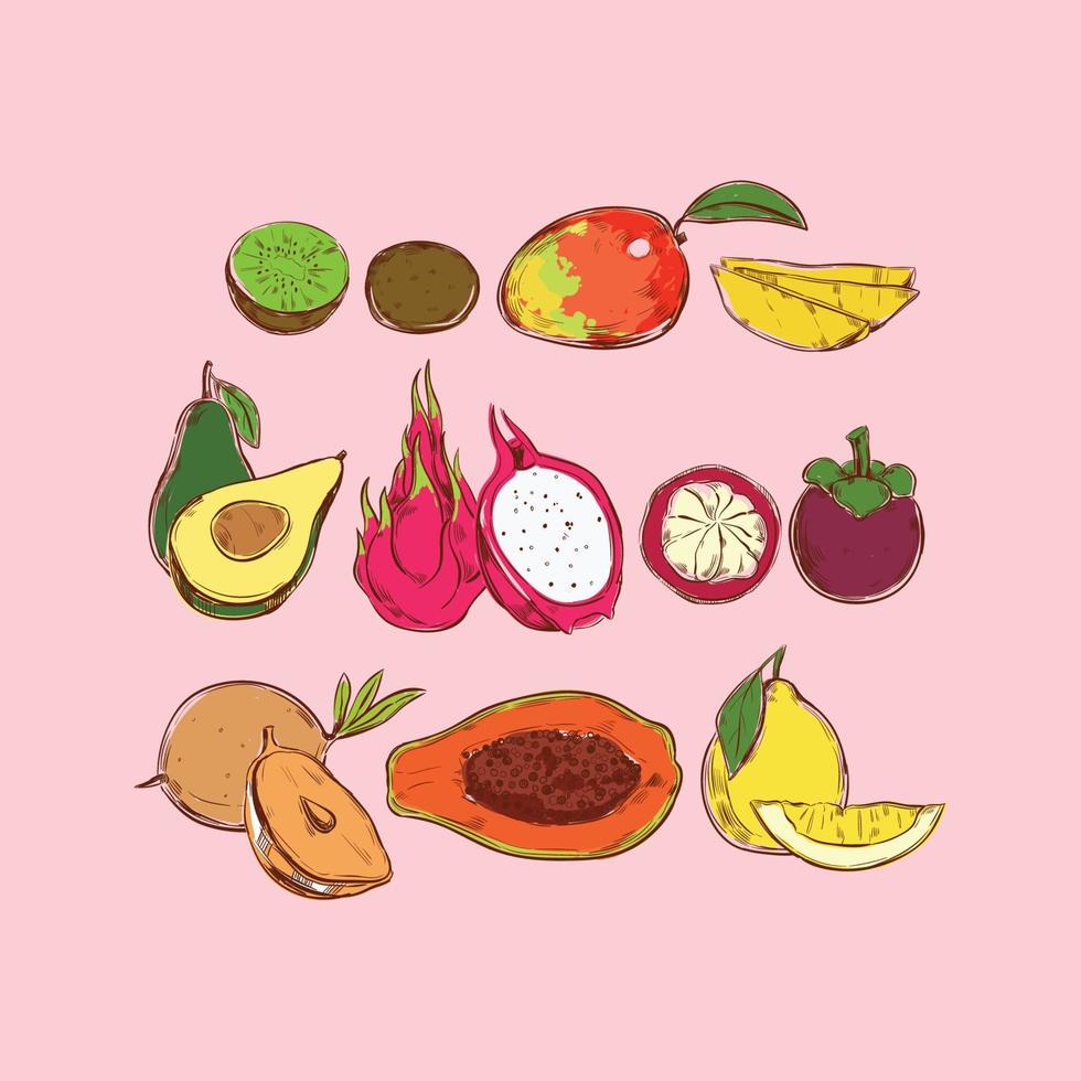 exotic hand drawn fruit collection in vector