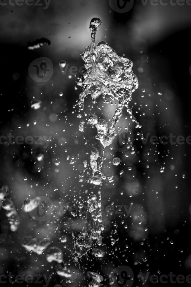 Water liquid splashing on isolated black background. photo