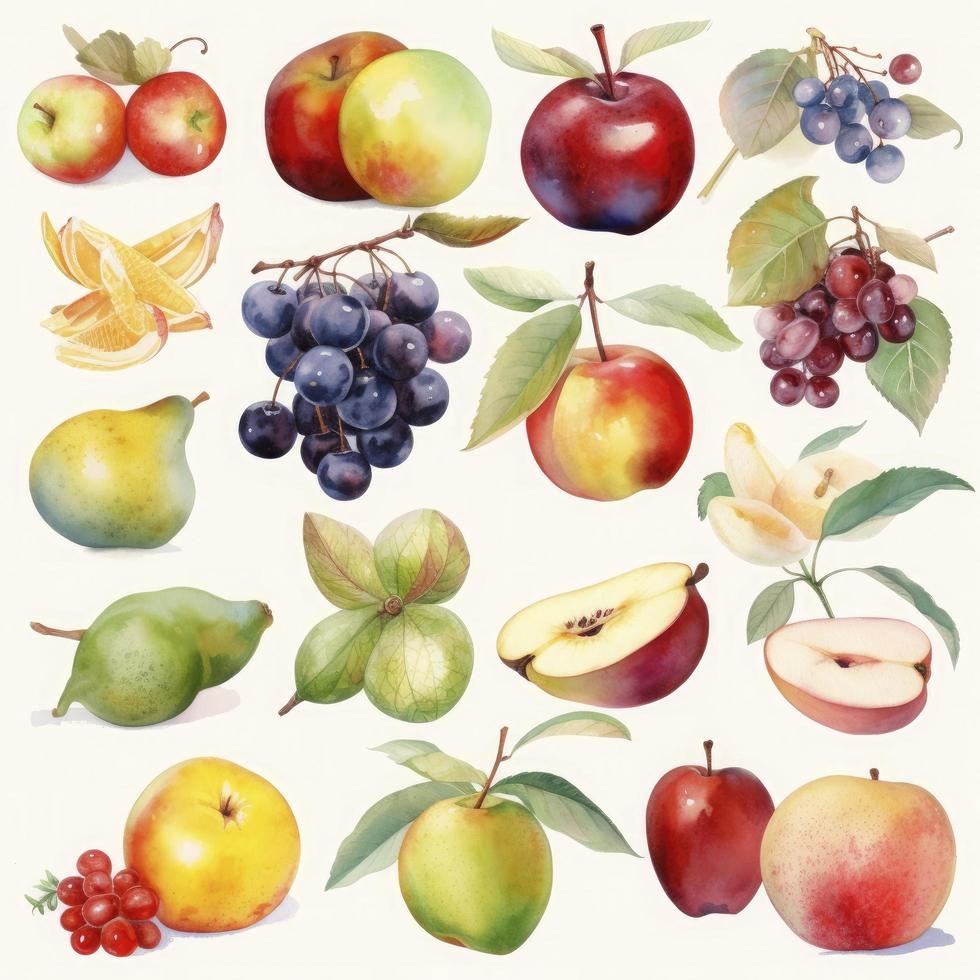 collection of pretty delicate watercolor fruits on  white background, Generate Ai photo