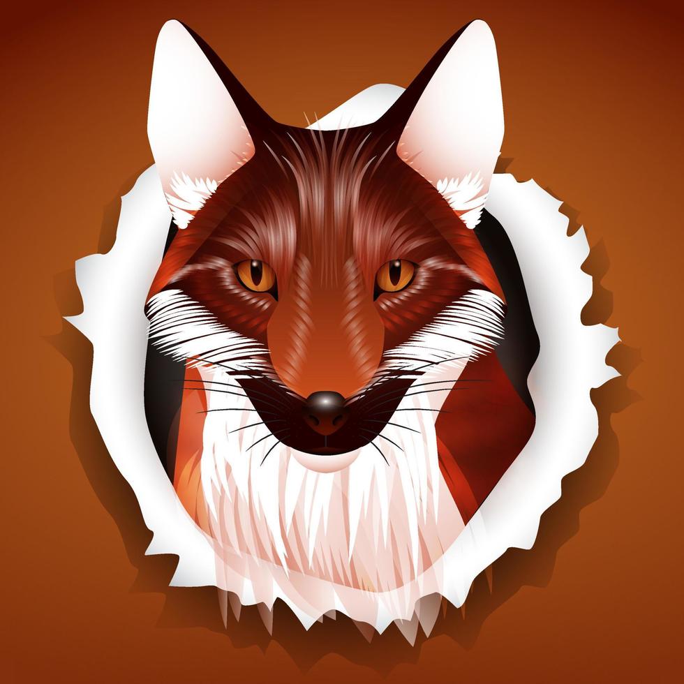 vintage furry brown fox face vector