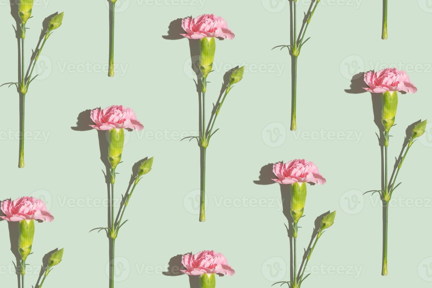 Pink carnation pattern on a green background photo