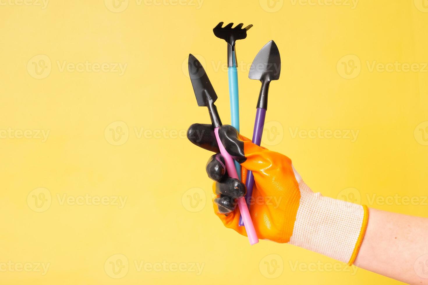 Hand in gardening glove with gardening tools on a colored background photo