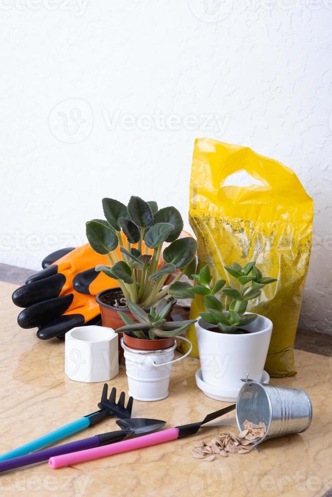 Plants and gardening tools with gloves, pots on marble table. Home planting concept photo