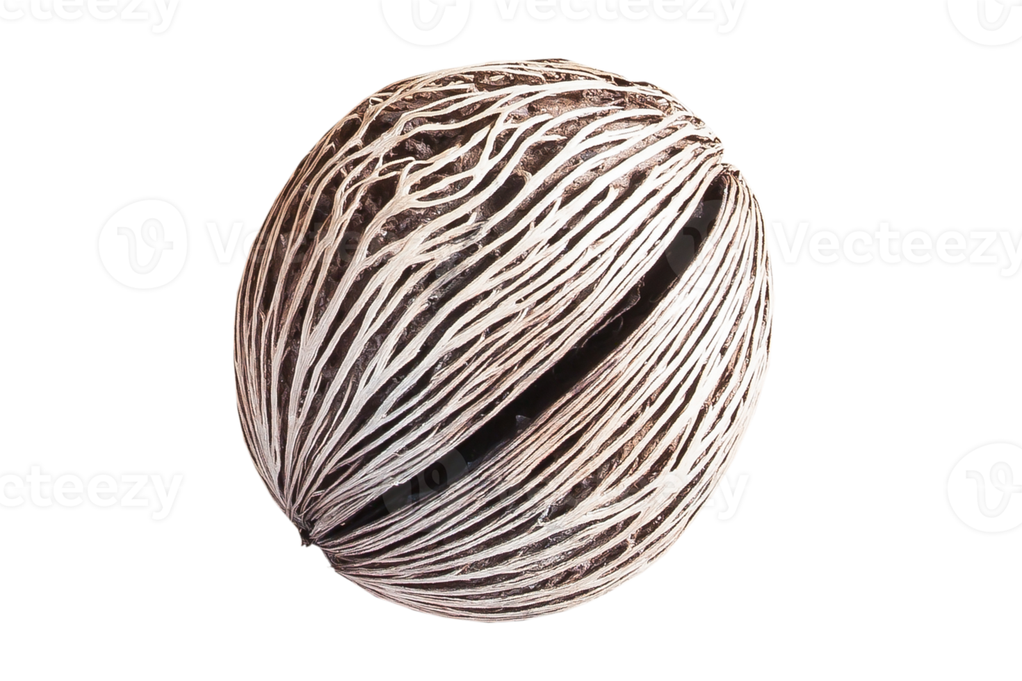 Beige getrocknet Pflanze isoliert auf ein transparent Hintergrund png