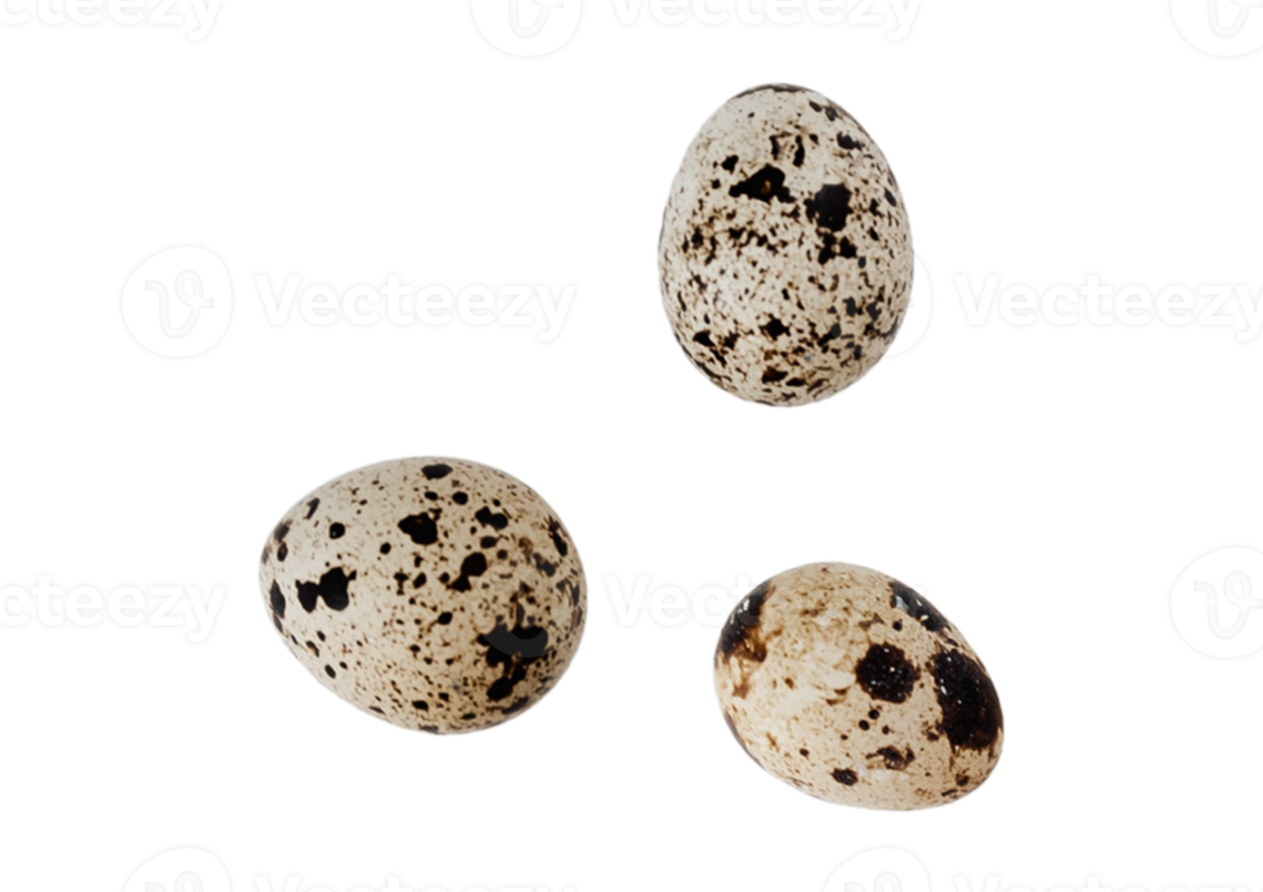 Quail eggs isolated on a transparent background png