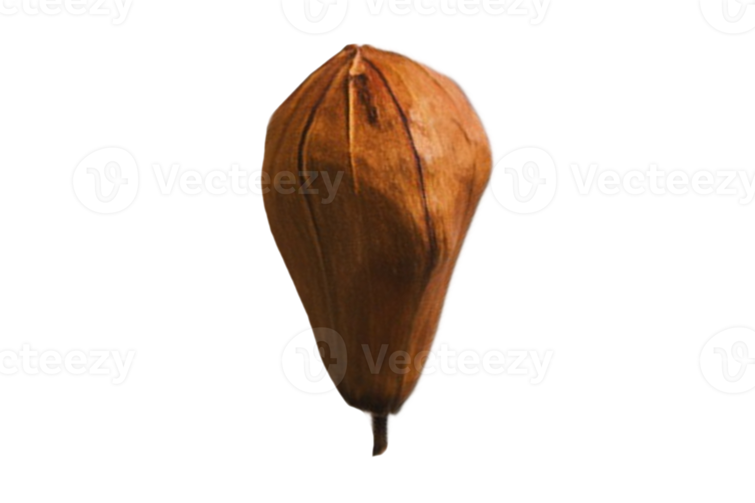 Dried eggplants isolated on a transparent background png
