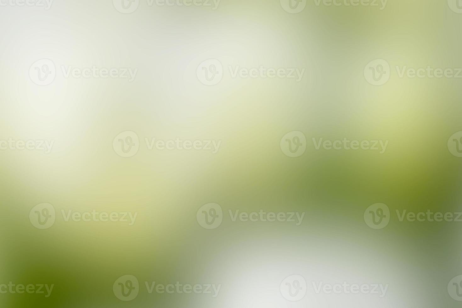The background is a gradient of dark green and light green mixed with white. The backdrop is a beautiful blend of dark and light green, as well as white, perfect for a banner photo