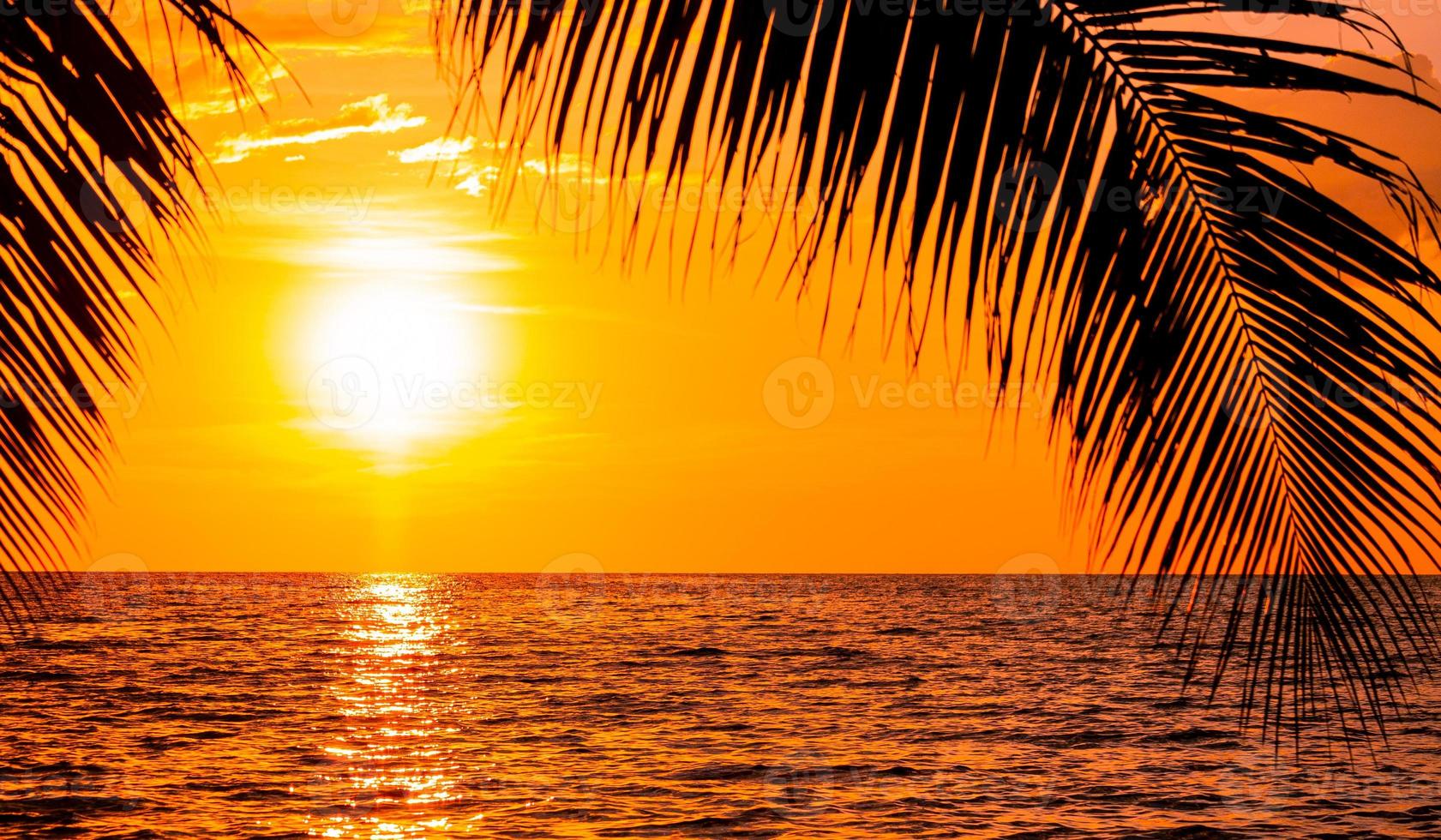 Beautiful sunset with palm trees on the tropical sea beach background photo