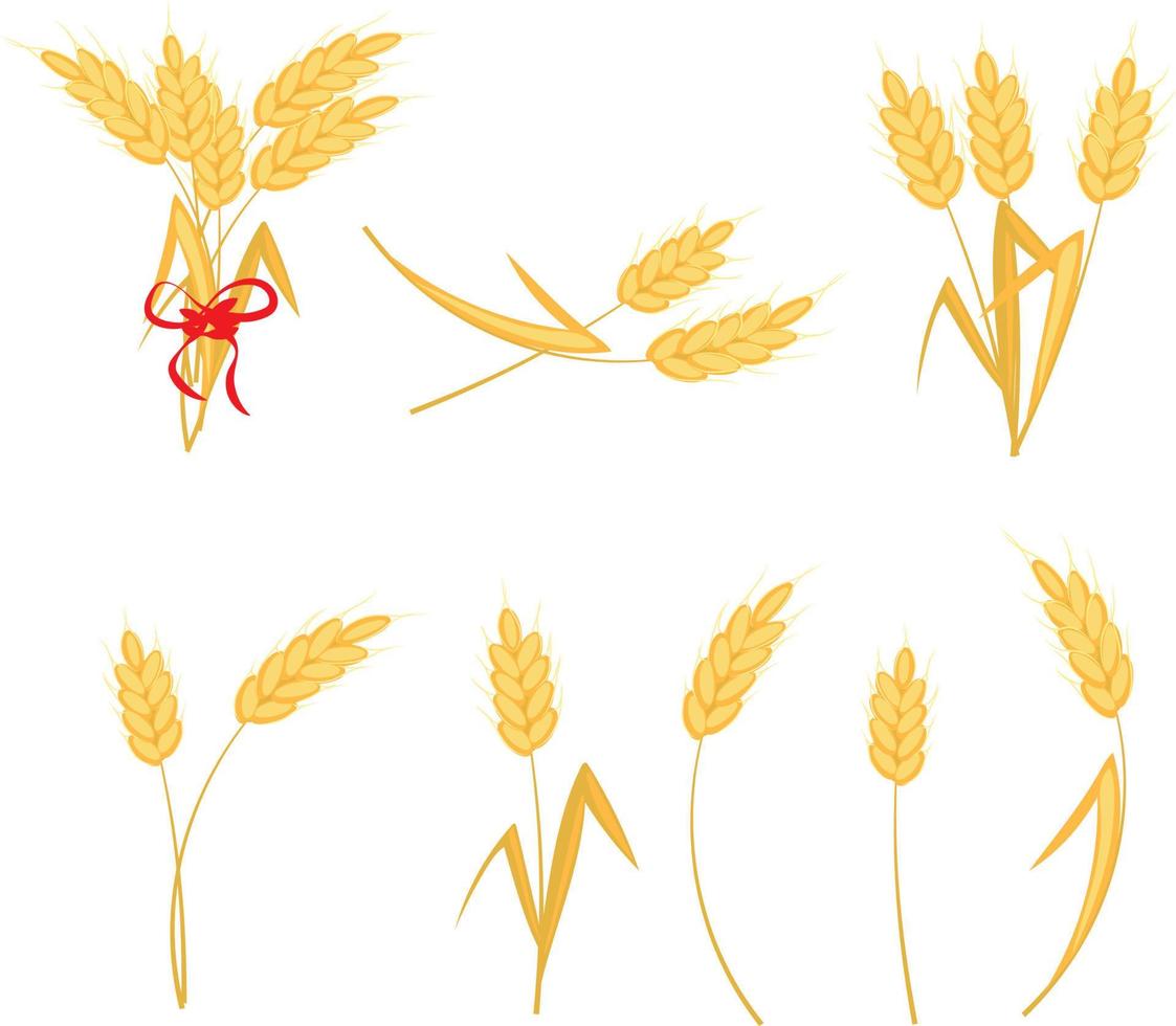 Set of ears of wheat. Sheaf of wheat. High quality vector illustration.