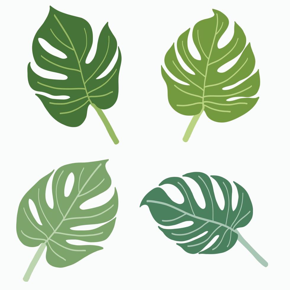 Simplicity monstera leaf freehand continuous line drawing flat design. vector
