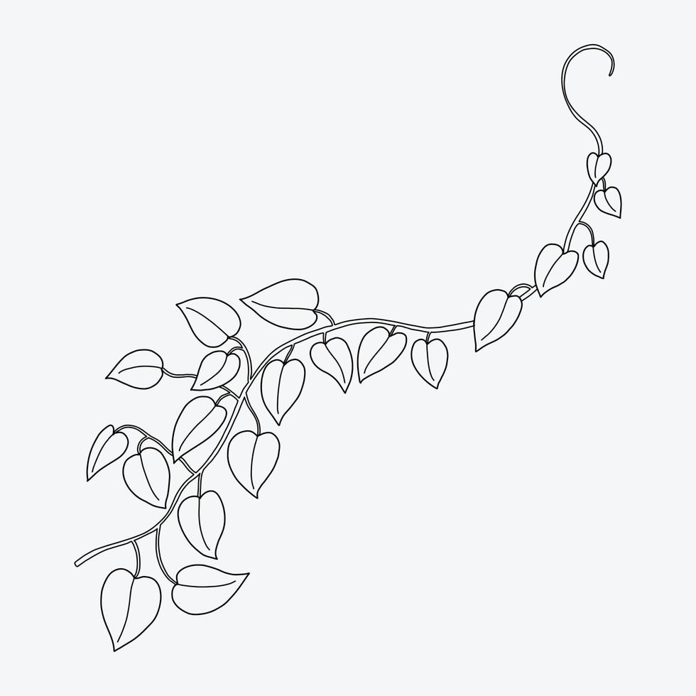 Floral ivy drawing decorative ornament flat design. vector