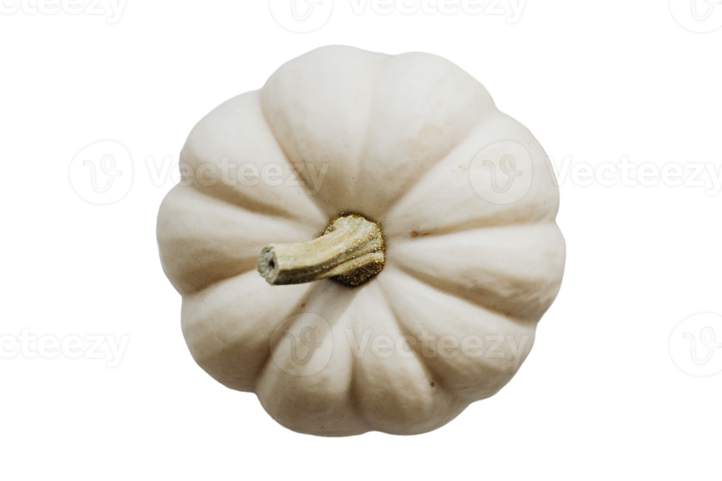 White pumpkin isolated on a transparent background png