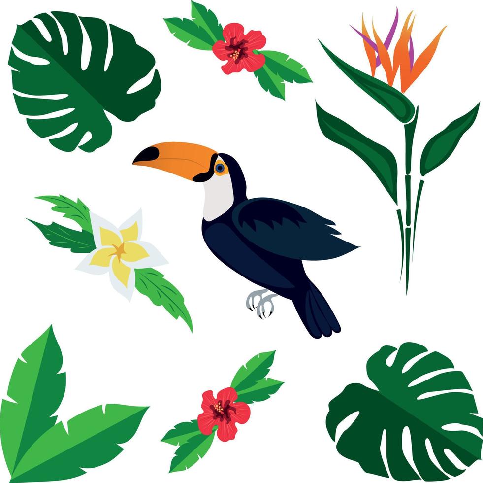 Set of vector pictures. Exotic flowers and bird. Toucan. High quality vector illustration.