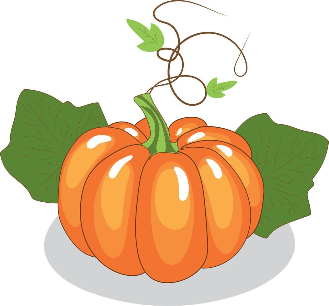 High quality vector illustration. Pumpkin with leaves.