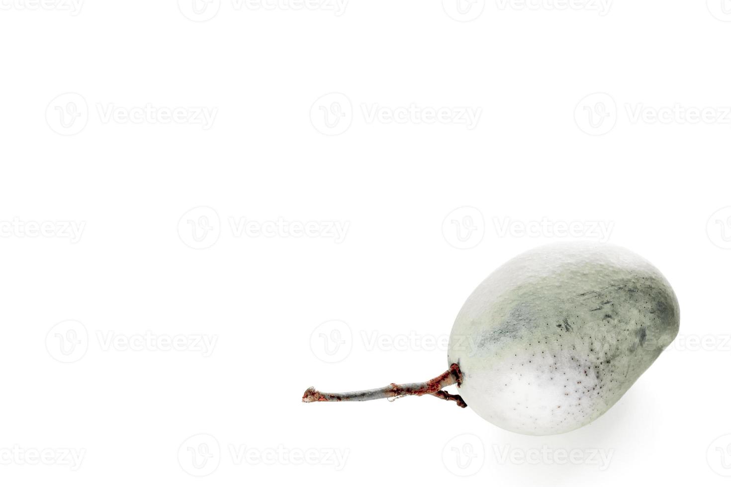 Single Gray mango on white background photo