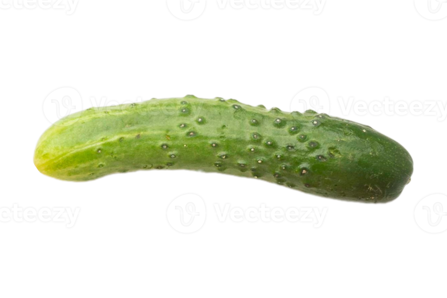 Green cucumber isolated on a transparent background png