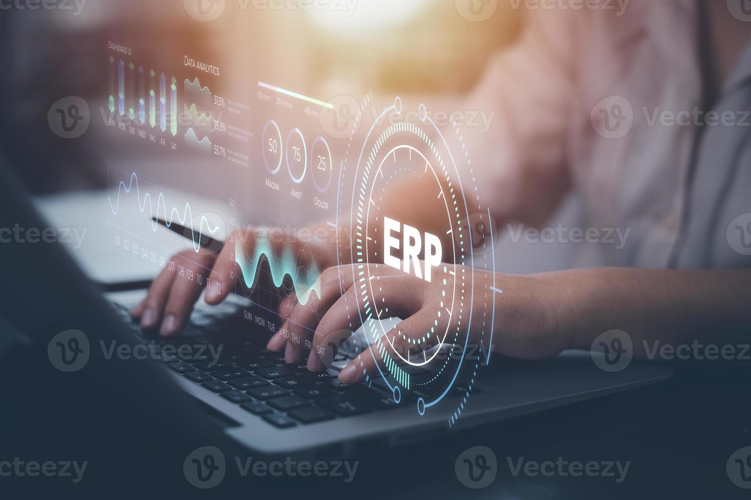 Inventory Management System Stock Photos, Images and Backgrounds for