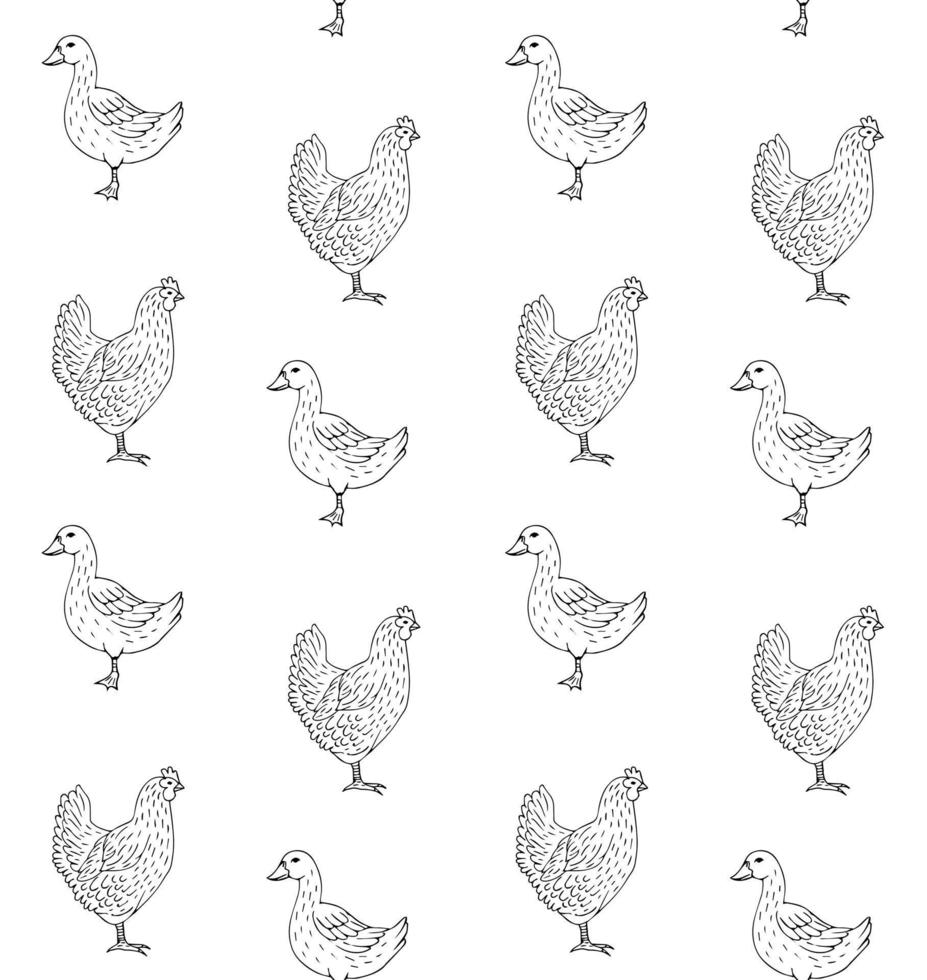 Vector seamless pattern of chicken and duck