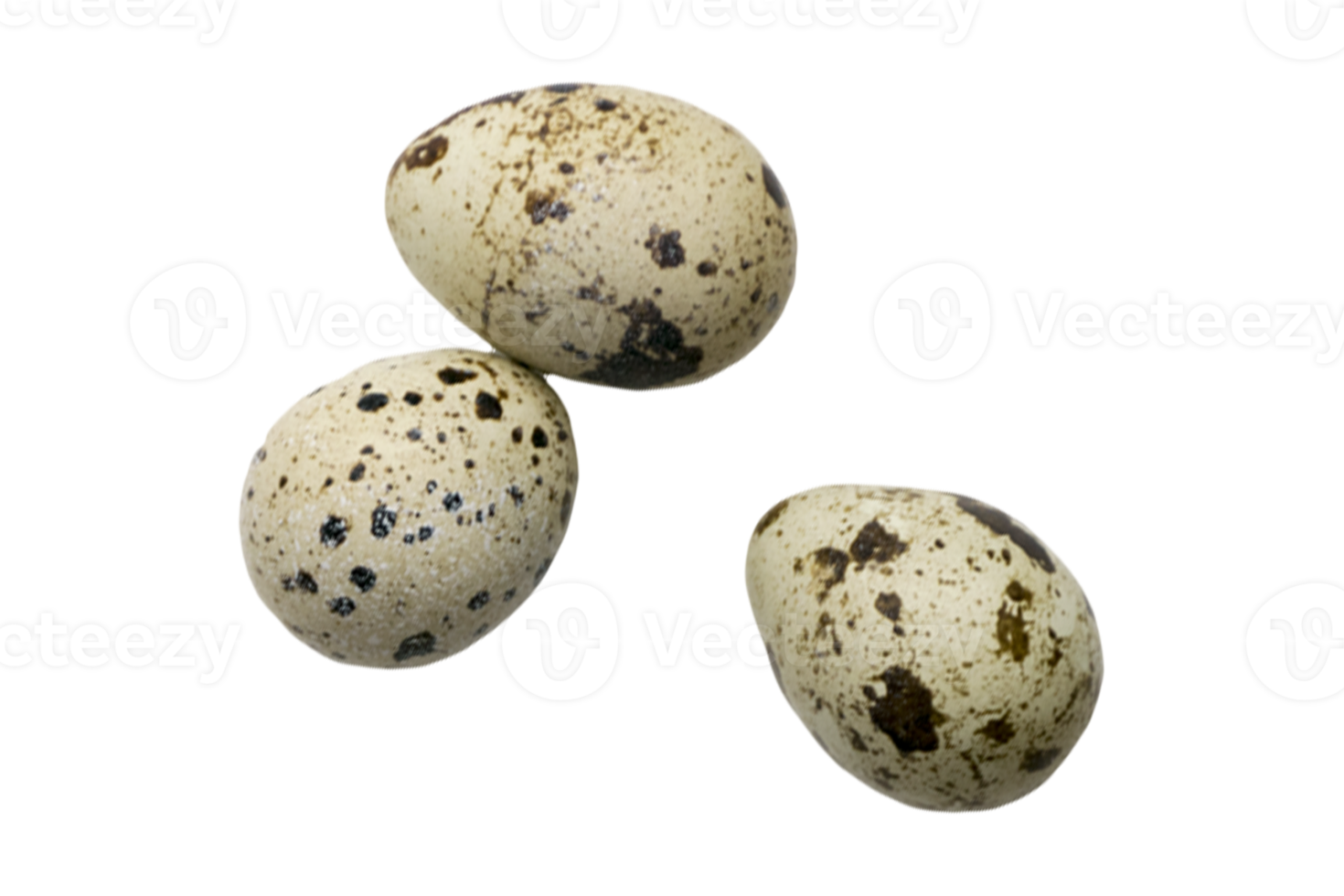 Three quail eggs isolated on a transparent background png