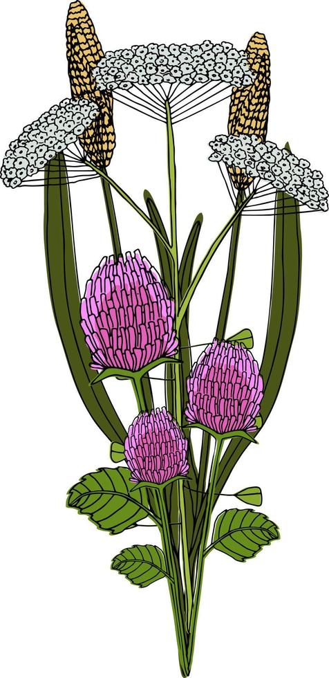 botánico ilustración. del Norte flores silvestres y hierbas. un ramo de flores de flores vector