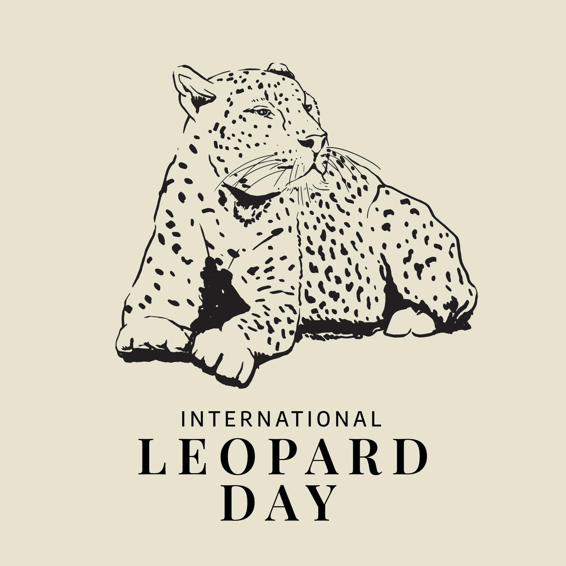 vector graphic of international leopard day good for international