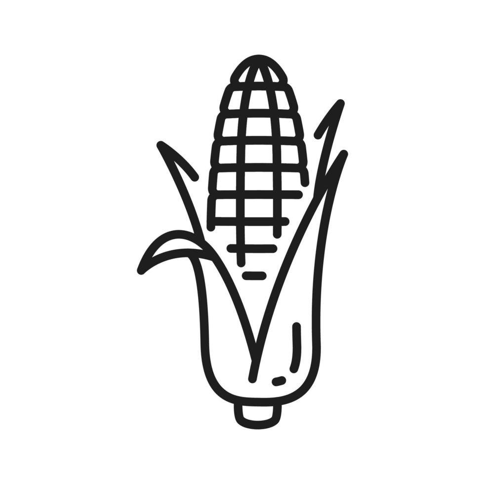 Maize with leaves isolated corncob corn cob icon vector