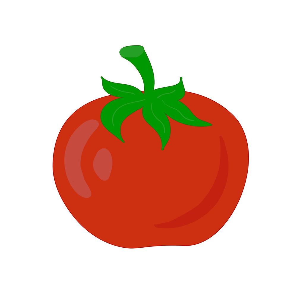 Red juicy tomato. Vector image isolated on white background. Healthy food icon. Grocery market. Color image. Harvest and seeds. gardening and farm
