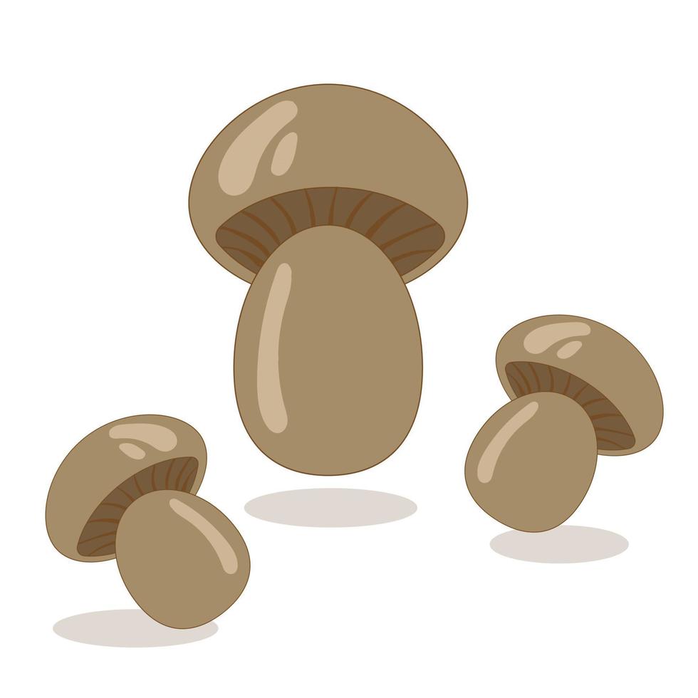 Champignon mushrooms. Vector image icon. Healthy food. Harvest and vegetable garden. Farming and greenhouse. Greenhouse vegetables. Vegetarian