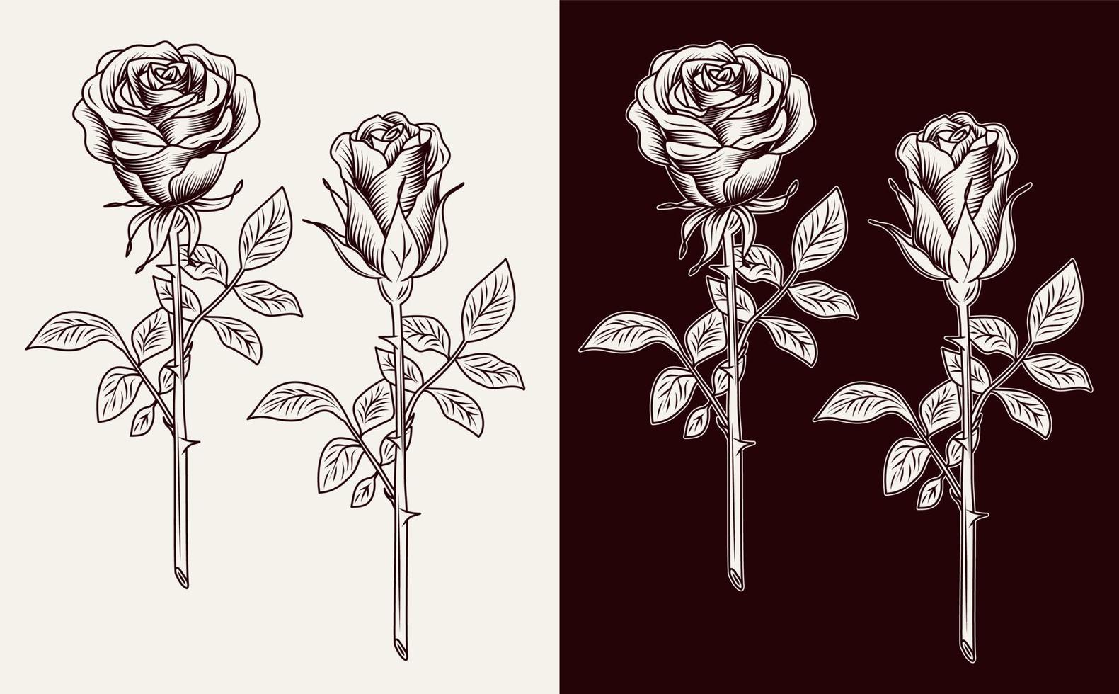 acortar Arte con lozano floreciente rosas con tallos. grabado Clásico estilo. aislado monocromo vector ilustración.