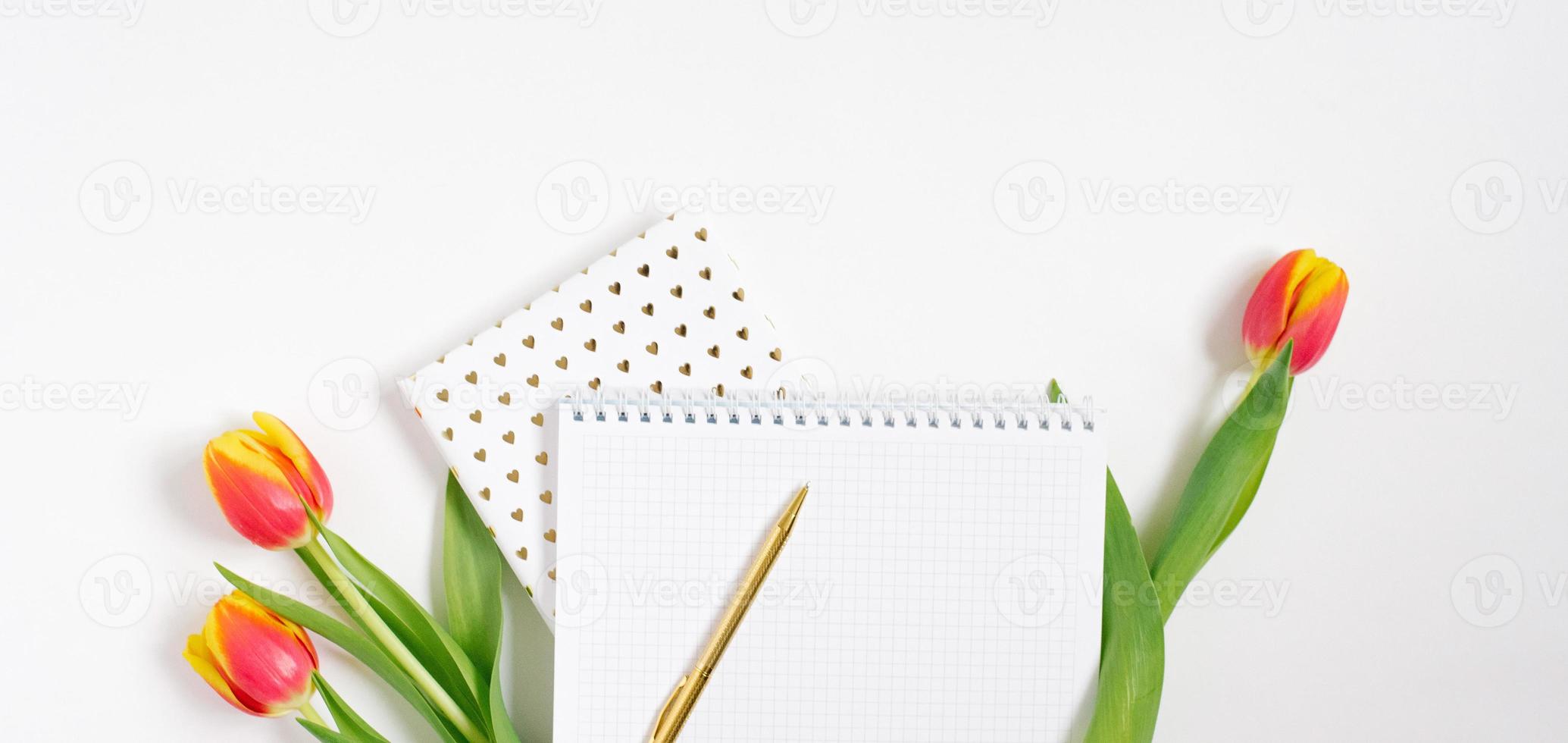 Border Flat lay office desk, minimalistic style on white background with empty space for text. Tulips and notebooks. Blogger's workplace for Valentine's Day and spring photo