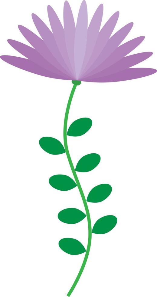 purple color vector flower