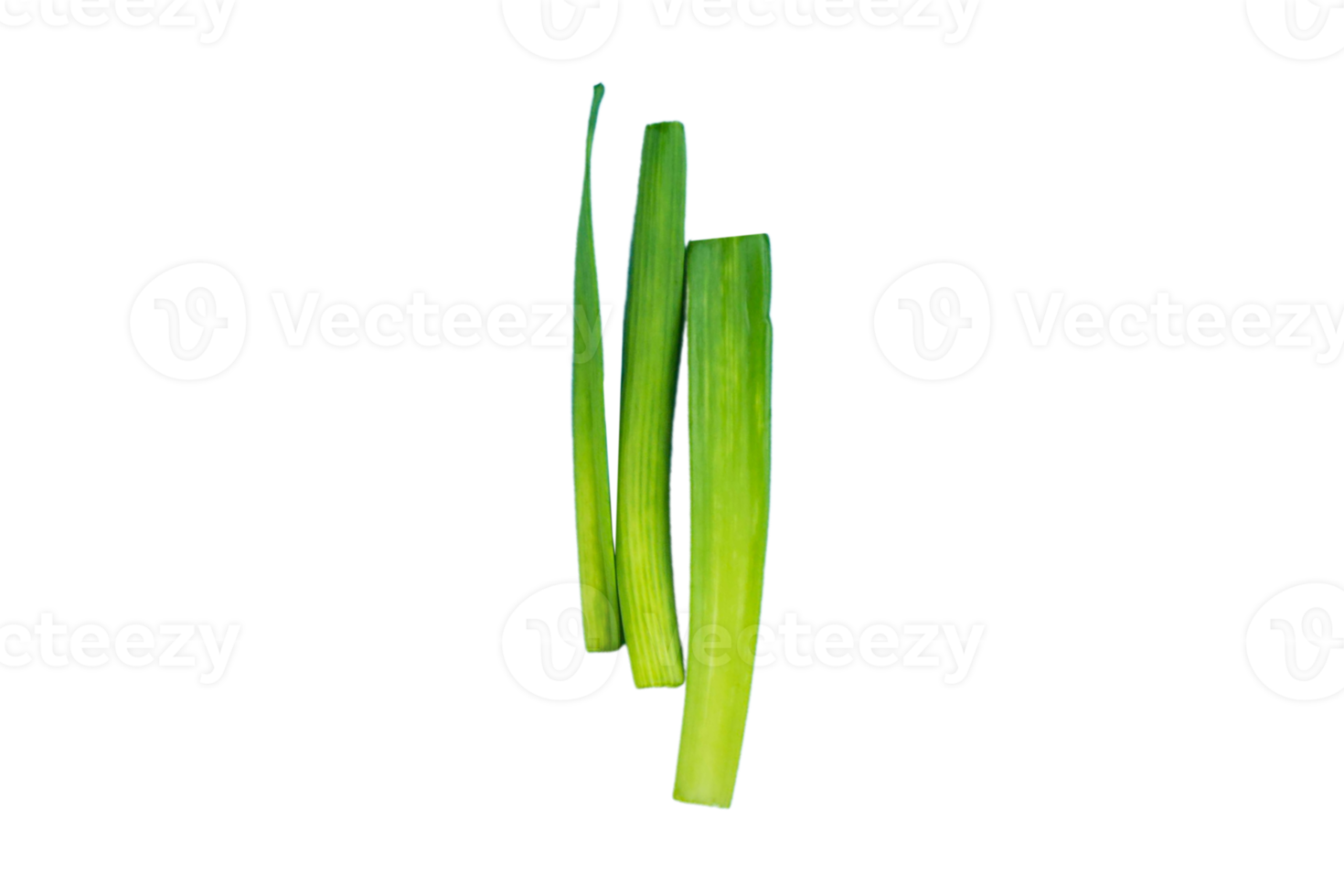 Green onion isolated on a transparent background png