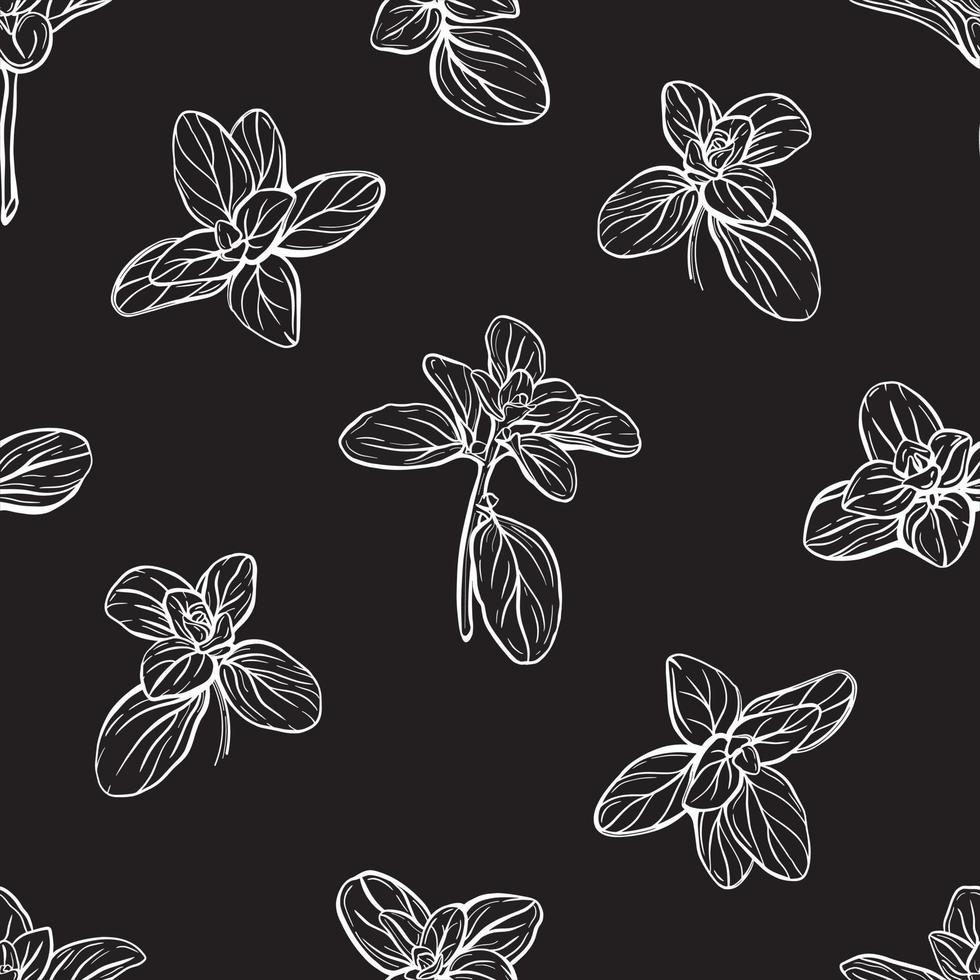 Basil Pattern. Italian herbs.vector illustration vector