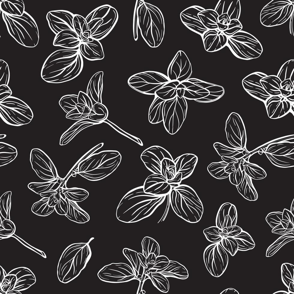 Basil Pattern. Italian herbs.A sprig of marjoram vector