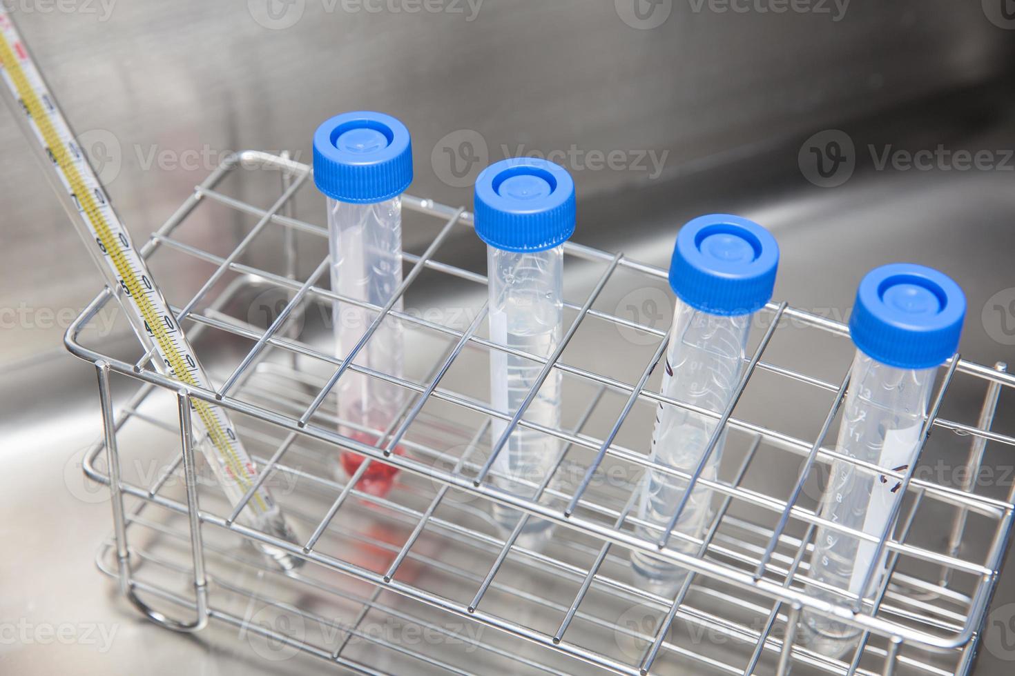 Falcon tubes and rack in a hot water bath at laboratory photo