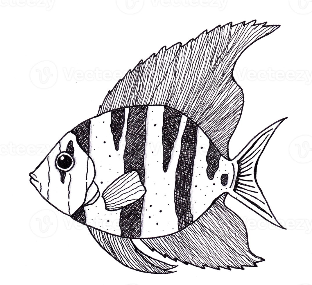 black and white fish illustration png