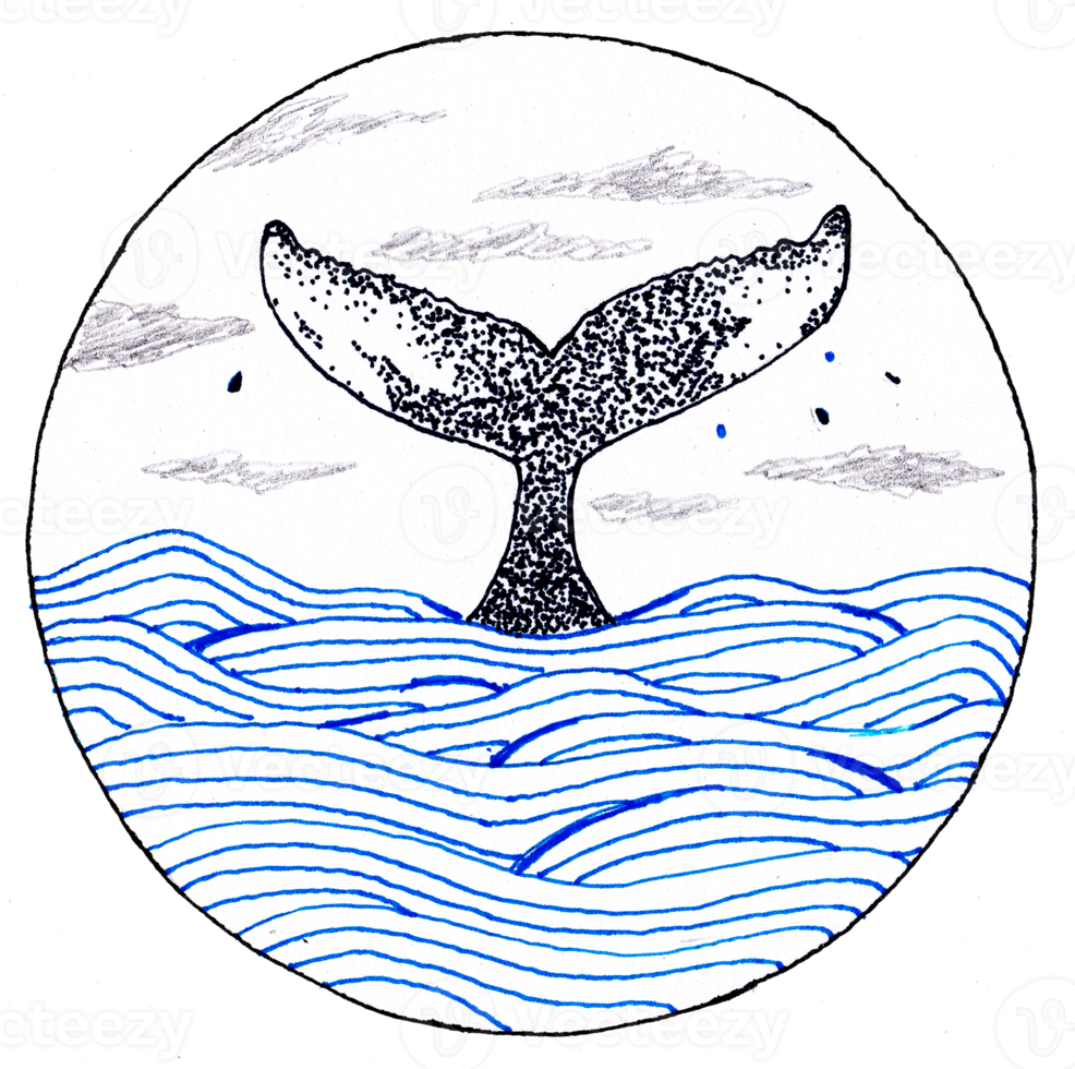 bleu baleine illustration png