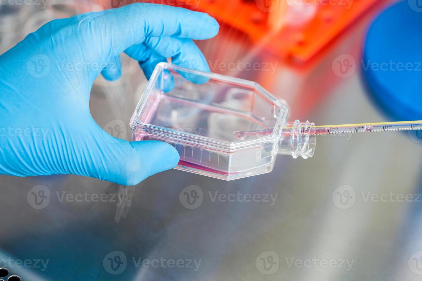 científico trabajando con un célula cultura matraz debajo estéril capucha a laboratorio foto