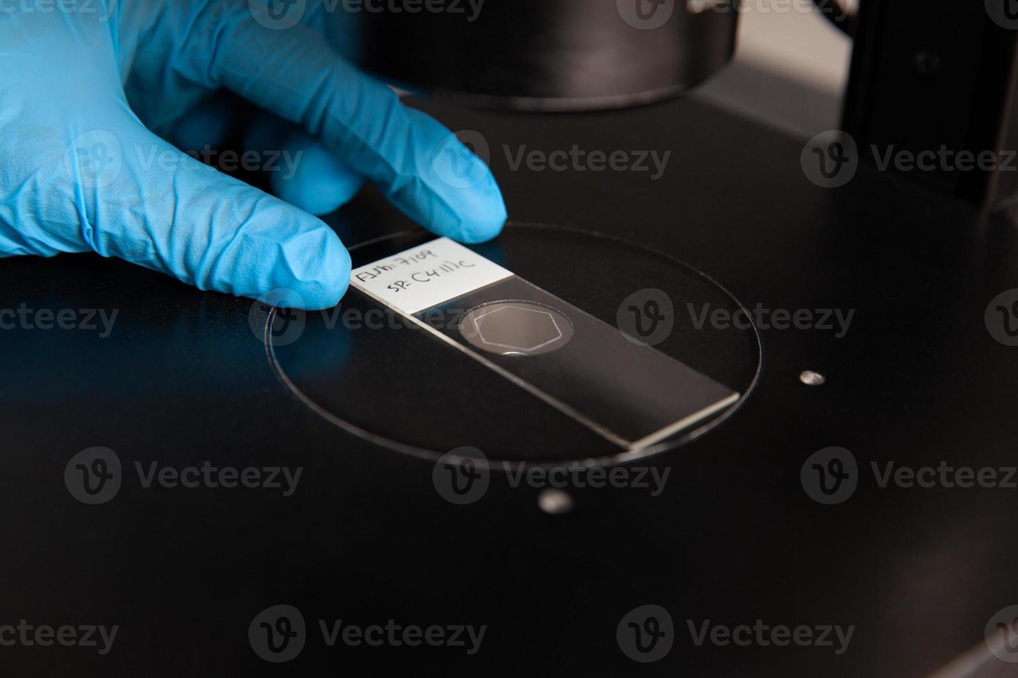 Scientist looking at slides with patient samples using an inverted microscope in the laboratory. Fluorescence in situ hybridization technique. photo