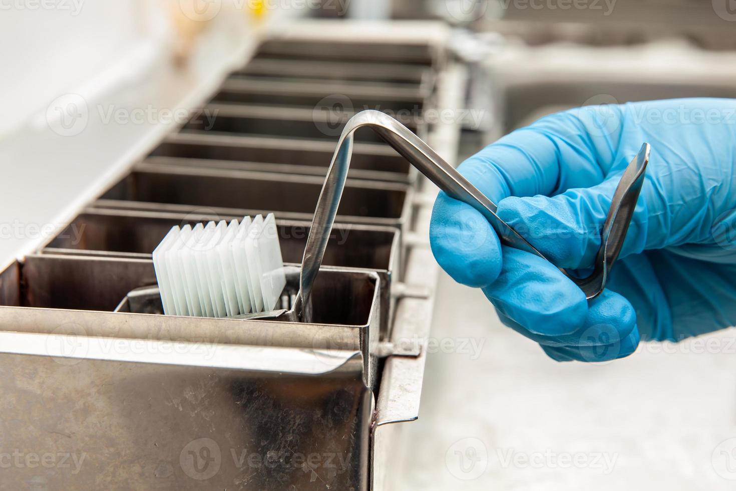 Scientist dewaxing paraffin embedded tissue samples in the laboratory. Xylene-based removal of paraffin. photo